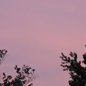 护士大乳出奶水
